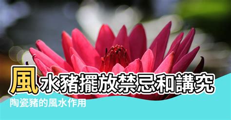 杜鵑花 風水|杜鵑花的風水擺放講究和作用